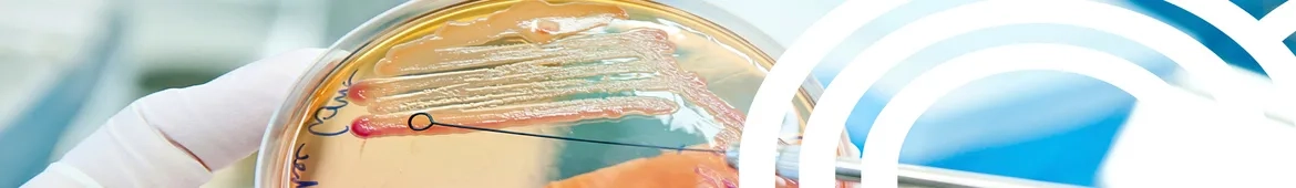 Microbiological-analyses